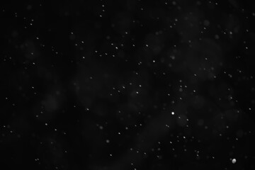 snow black background abstract texture, snowflakes falling in the sky overlay