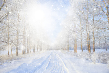 winter background snowfall trees abstract blurred white
