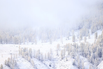 mountains snow altai landscape, background snow peak view