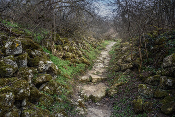 Fototapeta na wymiar Trail with old stone ruins in the rock Cave city Chufut-Kale in Bakhchysarai, Crimea