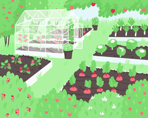 Vegetables and berries grow on a small farm in beds and a greenhouse. Cozy vegetable garden with healthy vegetables. Summer time of the year. Flat vector illustration.