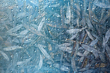 wet glass view of branches park autumn, abstract background drops on the window evening november