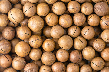 macadamia nuts with saws for splitting background backdrop