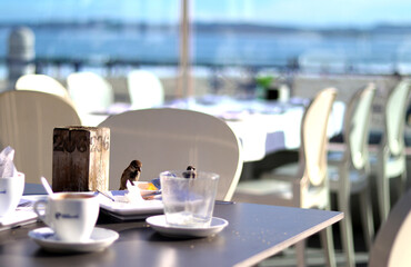 Sparrows having a little breakfast