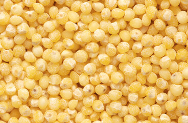 Close-up of millet groats as background.