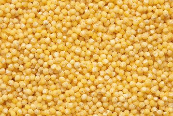 Close-up of millet groats as background.