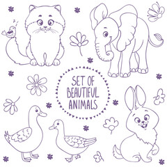 animals coloring