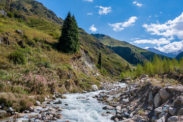 Obraz premium mountain river in the mountains