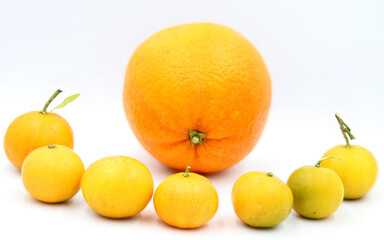 Orange surrounded by tangerines on a white background