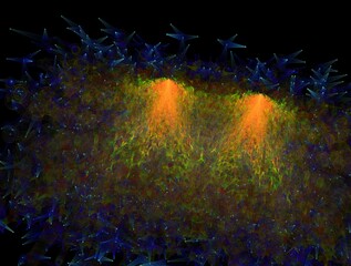 Fototapeta premium Imaginatory fractal abstract background Image