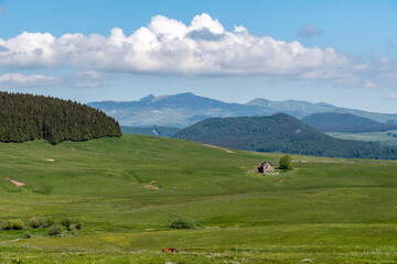 Fototapeta na wymiar Paysages de montagne avec un petit buron au fond d'une vallée dans le puy de Dôme en Auvergne par une belle journée de printemps