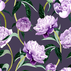 Peonies seamless pattern, flowers watercolor illustration. Purple flowers on a dark background.