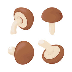 Shiitake. Asian mushroom. Natural food.