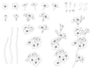 さくらのイラストセット_黒線画