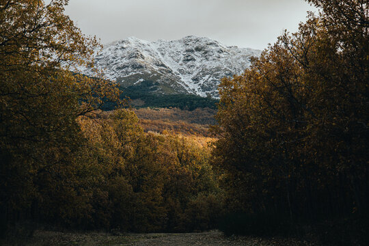 autumn in the mountains