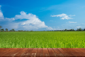 Empty wooden table with rice field and blue sky.