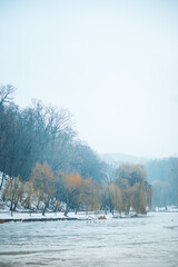 winter landscape with trees, lake and snow