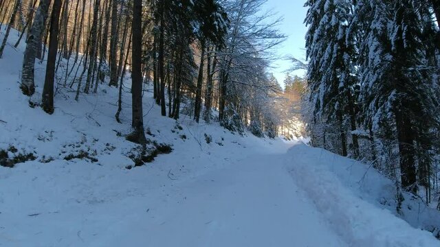 Driving on snowy forest road in winter. Alpine Vrata valley in Slovenia in wintertime. Forward moving on narrow mountain route surrounded with forest. Dash camera point of view. Dascham POV perspectiv