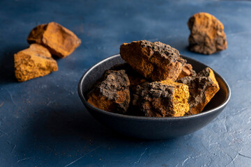 Chaga birch edible mushrooms in bowl on blue background.