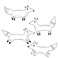 Cute fox in modern cartoon style. Black and white vector illustration.