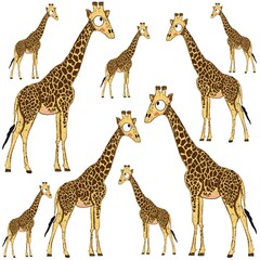 Obraz premium Funny giraffe print on white background. Cute African animals illustration for kids fabric, wallpapers, interior design, nursing. Isolated.