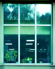 office window with flowers