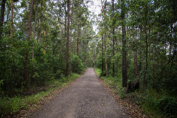 Country view