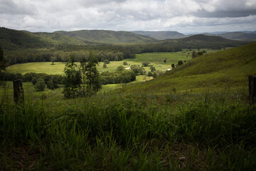 Country view