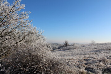 vue, beaujolais, blanc, givre, gel, 
