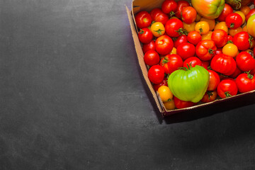 Fresh tomatoes in a box for use as ingredients for cooking with copyspace