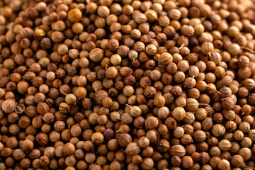 Organic Dried coriander seeds, close up background, texture