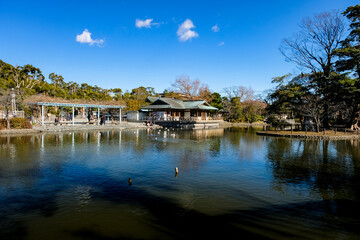 神奈川県鎌倉市 鶴岡八幡宮 源氏池