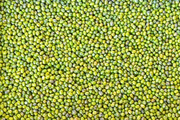 mung bean seed close-up very soft mung bean seed texture background