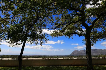 Deurstickers Green oak trees and a white wall on the farm Groot Constantia © Jacques Hugo