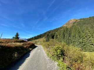 Loassattel zwischen Pillberg und Hochfügen Zillertal im Bezirk Schwaz Tirol Österreich mit dem Mountainbike im Herbst