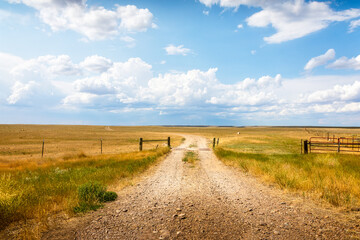 Rural landscape in Montana with a summer meadow behind a fence