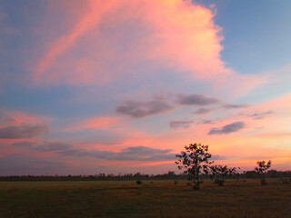 Sunset landscape with a meadow and a forest, Silhouette tree and grassland with multicolor sky background.