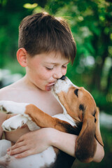 Little Dog licking boy's nose and lips