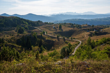 Naklejka premium Top view on the lonely mountain road.