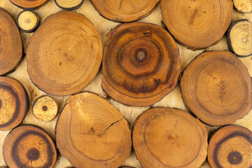 Wooden decorative panel made from round cuts of wood - 482155292