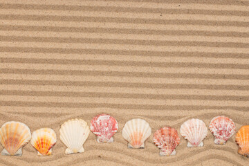 Curved line of seashells lying on lines of sand. With space for design, text place - 482155296