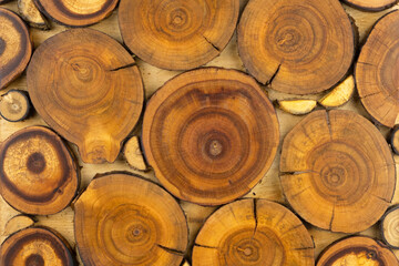 Wooden decorative panel made from round cuts of wood - 482155298