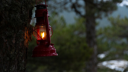 retro gas lamp hanging on tree in dark forest