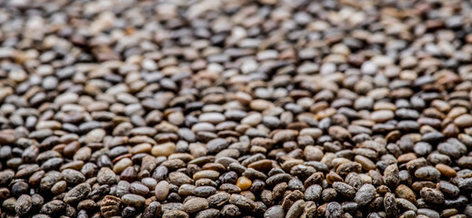 Heap of Chia seeds. Horizontal image.