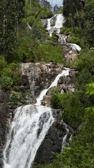 The beautiful Steavensons Falls in Marysville ...one of the the highest Falls in Victoria,...