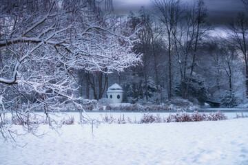 Biały pejzaż zimowy, mroźny poranek w parku
