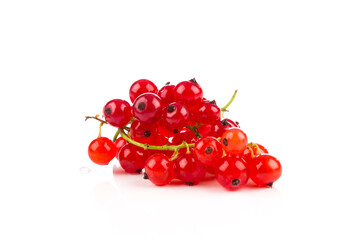 Red currant isolated