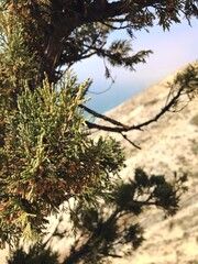 sunset in the mountains