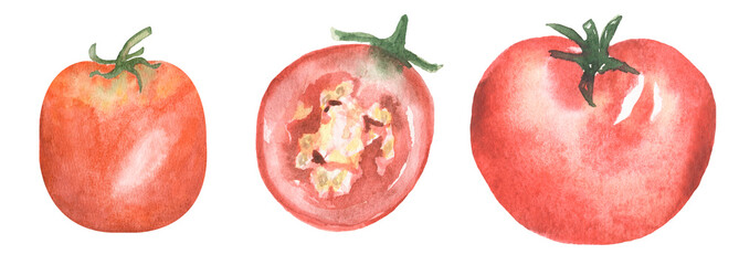 Tomato Vegetables Clipart, Watercolor tomato slice illustration set, Healthy Food clip art, Organic Kitchen Clipart, Garden Plants, Culinary Print Art