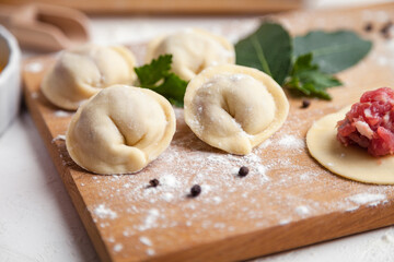 Fototapeta na wymiar Meat dumplings. Raw dough with minced meat for dumpling on white background 